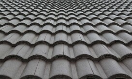roof-painting2