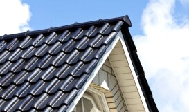 roof-painting-3