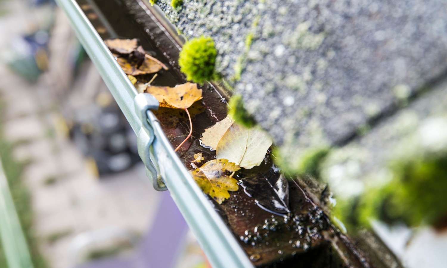 Gutter Cleaning Toronto